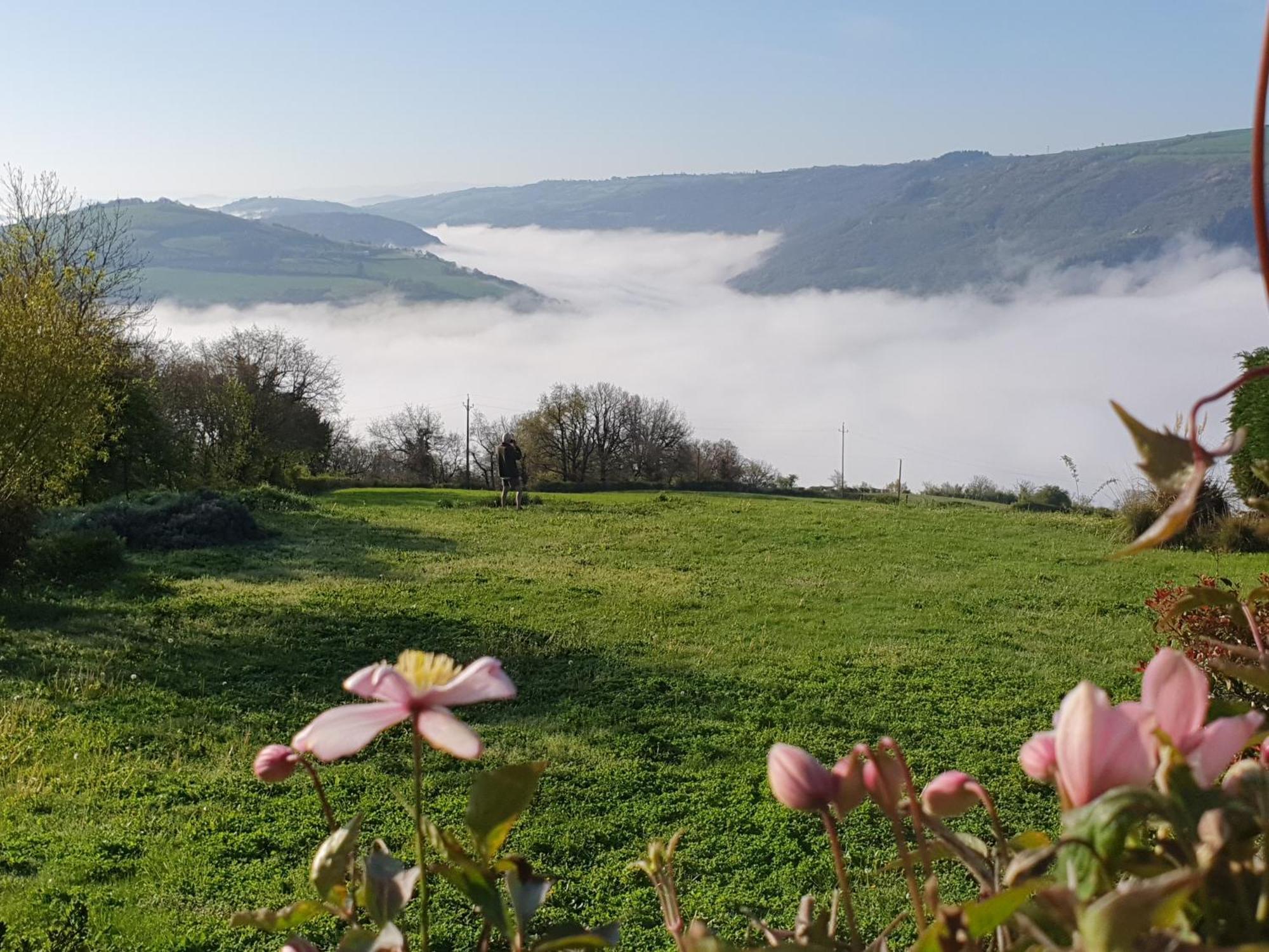 La Colline Du Chat Perche Βίλα Connac Εξωτερικό φωτογραφία